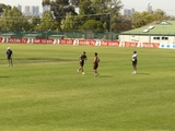essendon1