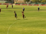 essendon2