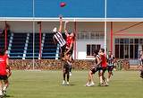 collingwood