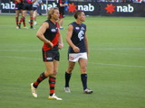 hird