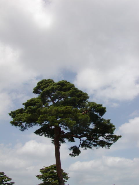05161003.jpg