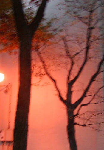 09df4698.jpg