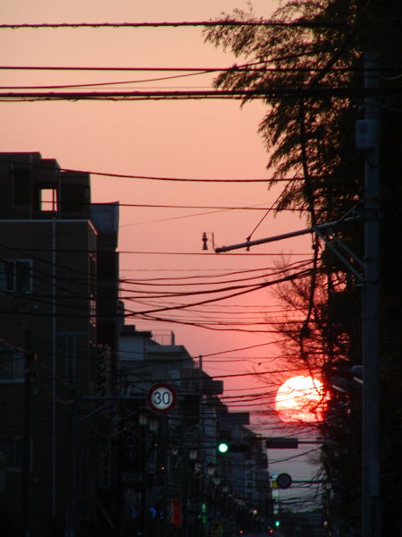 0a005501.jpg