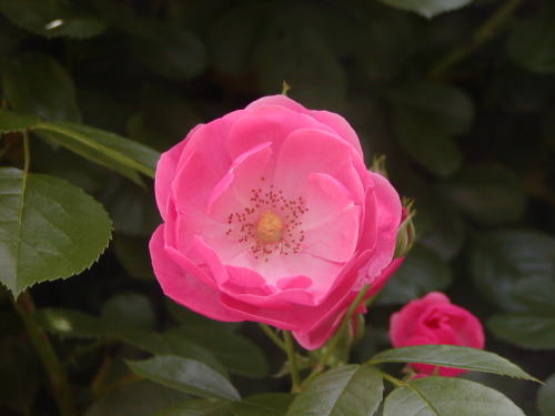 10e3b67e.jpg