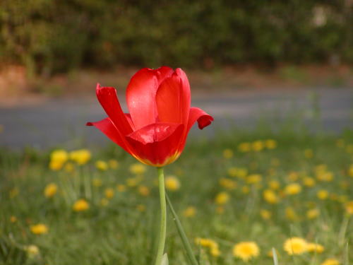 1305643a.jpg