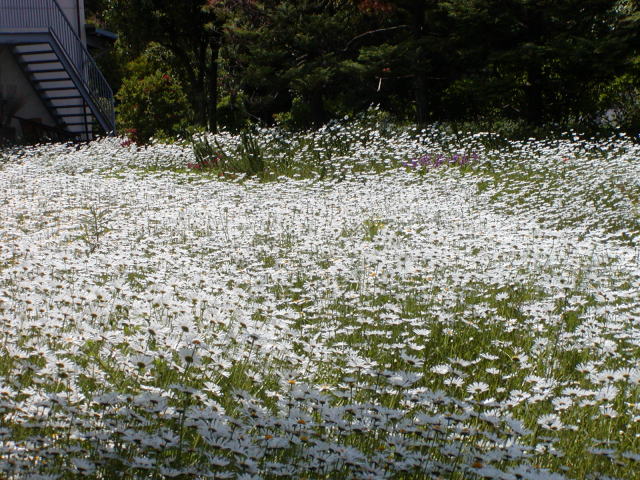 13a6d563.jpg
