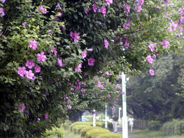 144cb073.jpg