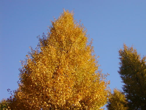 15e498d6.jpg