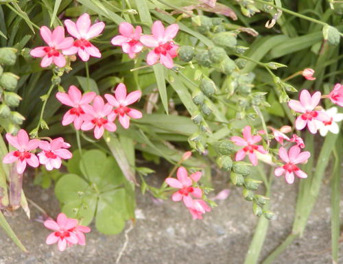 18b02b17.jpg