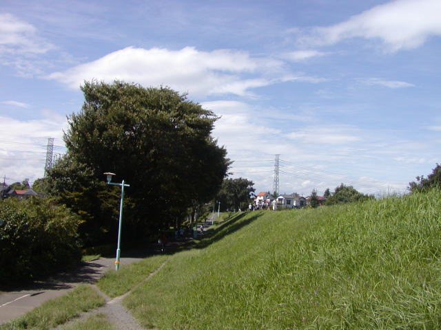 1b311f0f.jpg