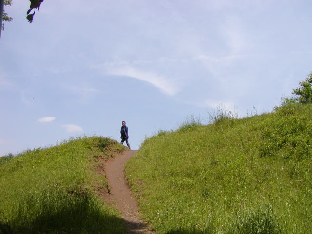 1dc4132d.jpg