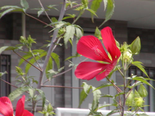 1ebb07b0.jpg
