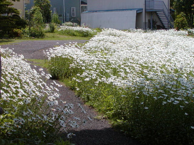 207abb07.jpg