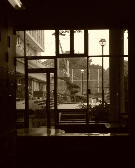 20f304b8.jpg