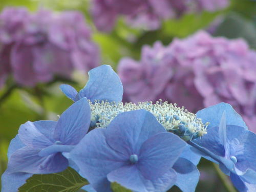 2752b09e.jpg