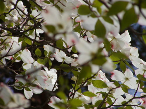 2c952885.jpg