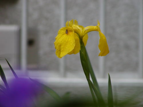 2e027240.jpg