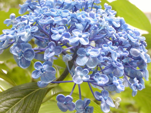 3b9278bd.jpg