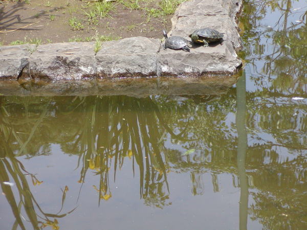 3e7a6b88.jpg