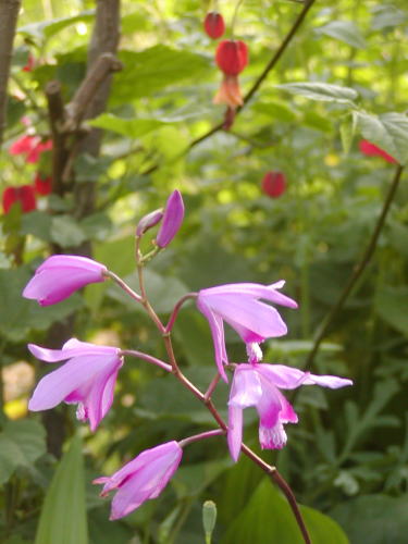 3f4e596a.jpg
