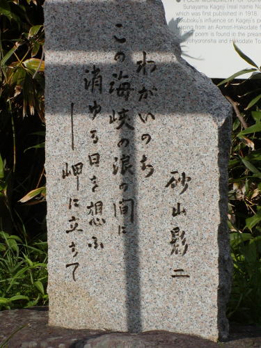 41272363.jpg