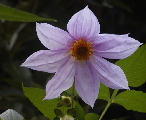 4a039c94.jpg