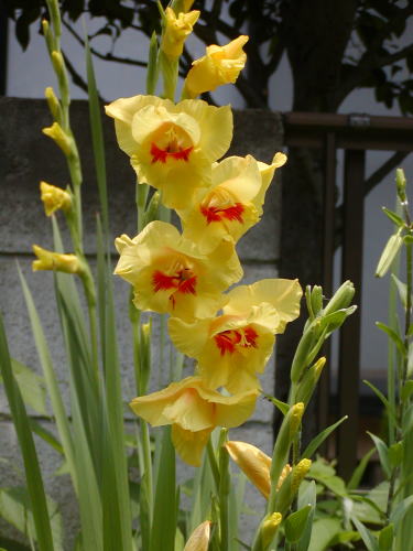 52e036f1.jpg