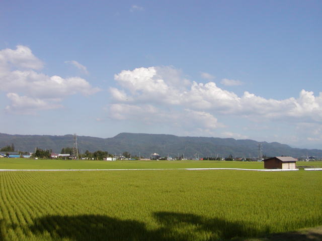 563e1395.jpg