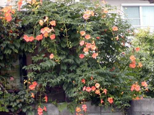 576c3283.jpg