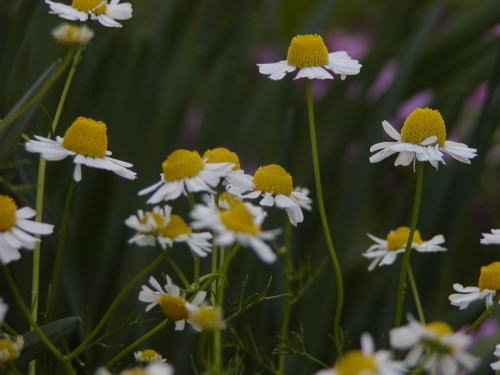 5893b280.jpg