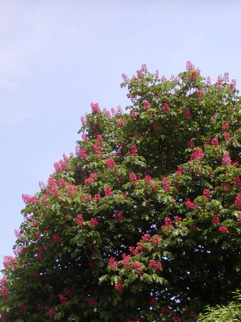 5e624b9d.jpg