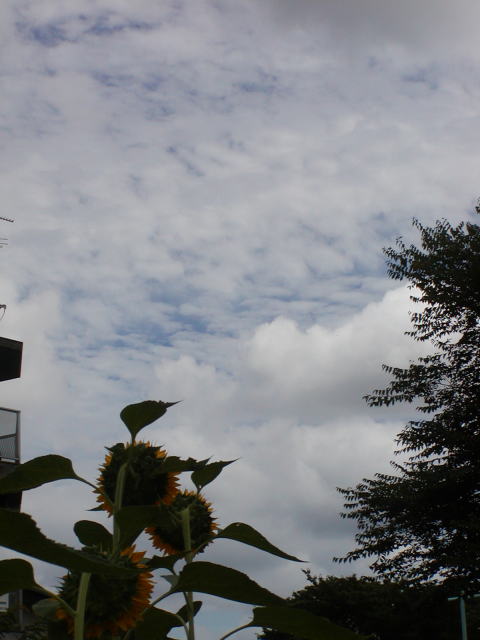7934cb59.jpg