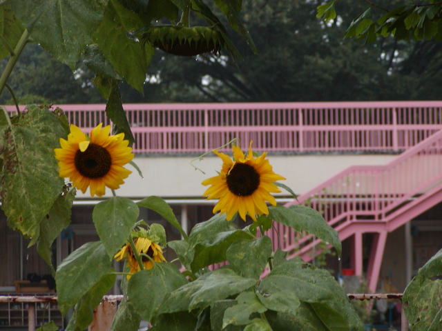 7a89d948.jpg