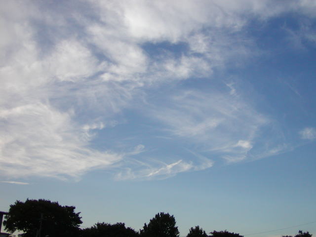 7d2ff997.jpg
