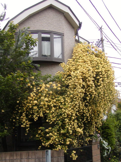 859f6e23.jpg