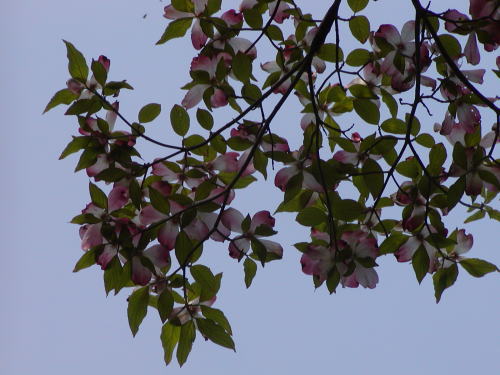 86b0c598.jpg