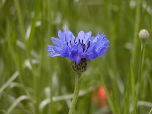 8b078f65.jpg