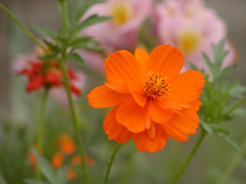 8c6e50d8.jpg