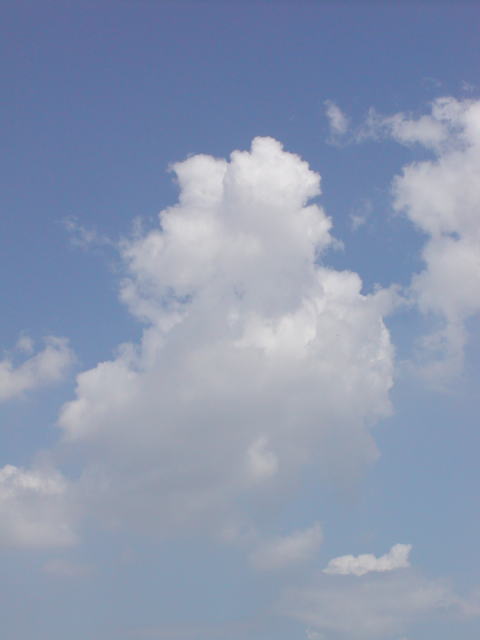 8e27a970.jpg
