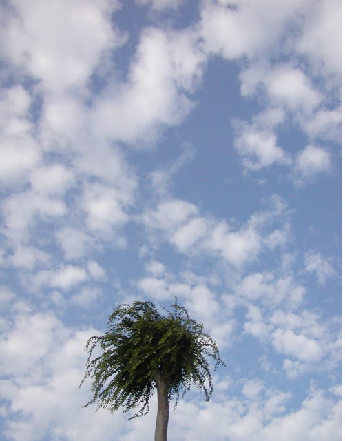 90de0876.jpg