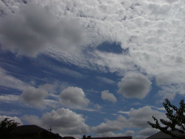 93716a1d.jpg