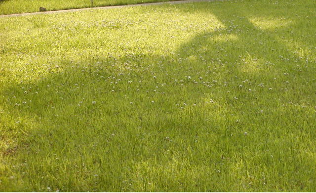 9442e635.jpg