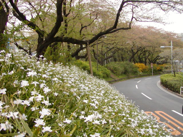 9949f72e.jpg