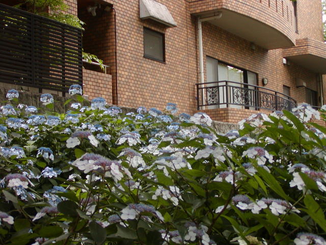 9fdae928.jpg