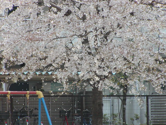 a5c743e7.jpg