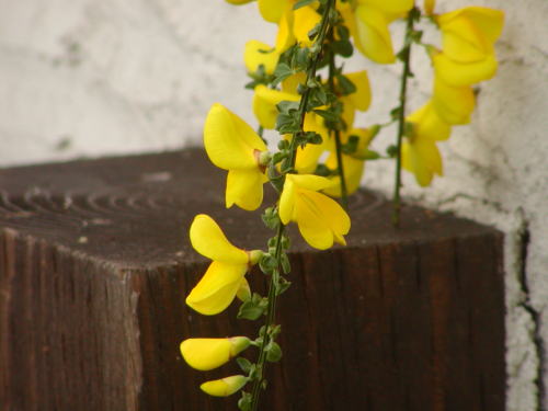 a89497d4.jpg