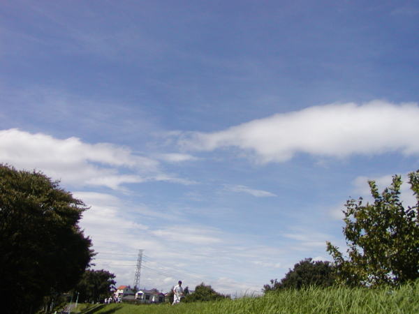 a91b9e77.jpg