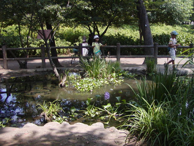 a9d83e1a.jpg