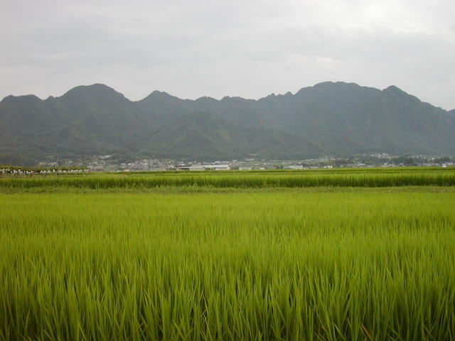 b8971d03.jpg