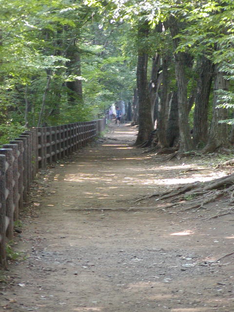 bc0a2131.jpg
